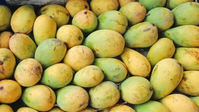 প্রথমবারের মতো সুইজারল্যান্ডে গেল হিলির আম!