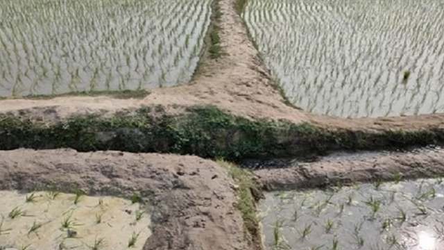 পীরগাছায় জমি নিয়ে সংঘর্ষে নারীসহ আহত ৪